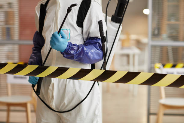 Professional Sewage Cleanup technician working in Random Lake, WI